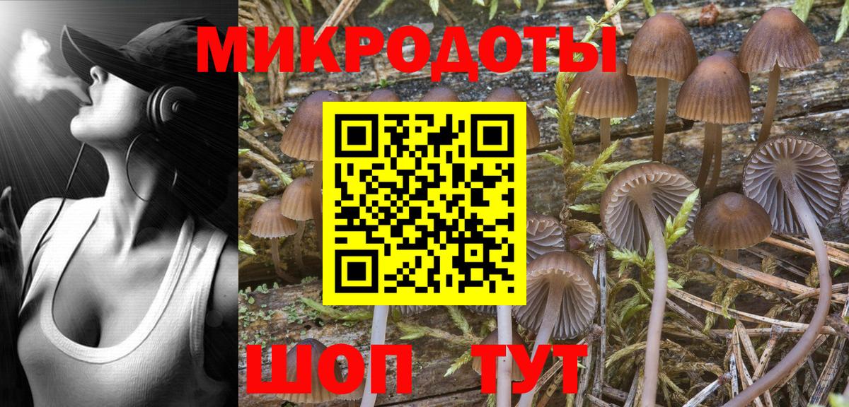 Биробиджан  Псилоцибиновые грибы Psilocybe  Вход с VPN 